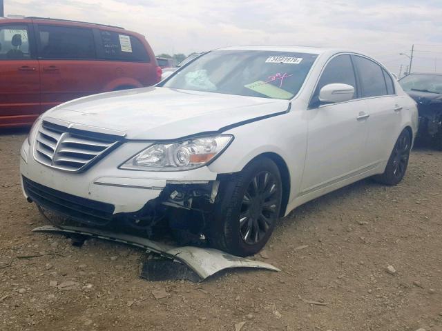 KMHGC46E99U033533 - 2009 HYUNDAI GENESIS 3. WHITE photo 2