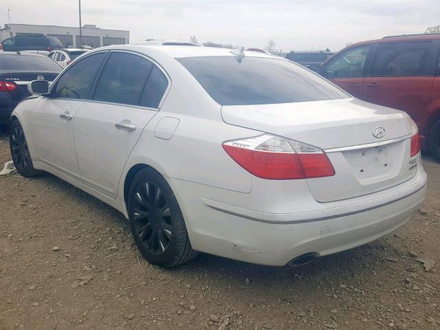 KMHGC46E99U033533 - 2009 HYUNDAI GENESIS 3. WHITE photo 3