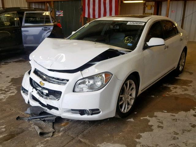 1G1ZE5E10BF113074 - 2011 CHEVROLET MALIBU LTZ თეთრი ფოტო 2