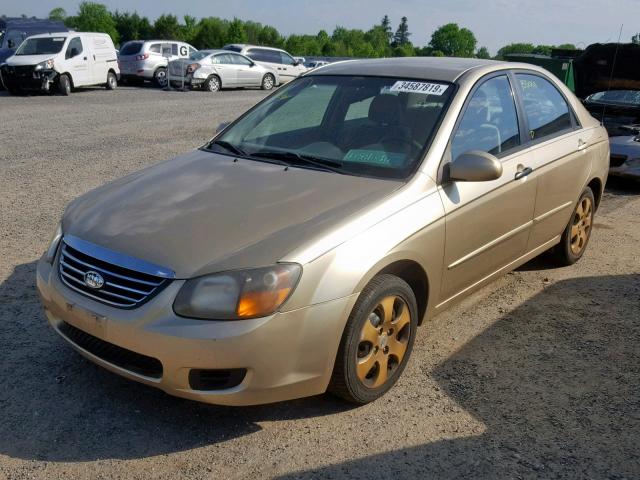 KNAFE221395661998 - 2009 KIA SPECTRA EX GOLD photo 2