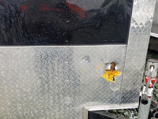 7H2BE1228KD007910 - 2018 UTILITY TRAILER Qara foto 8