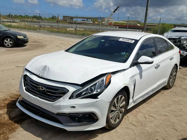 5NPE34AF5FH102543 - 2015 HYUNDAI SONATA SPO WHITE photo 2