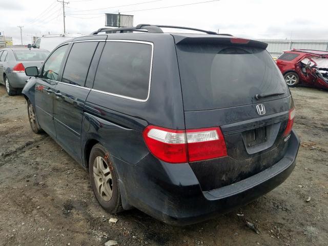 5FNRL38655B096435 - 2005 HONDA ODYSSEY EXL  photo 3