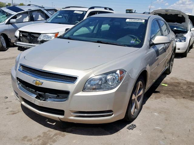 1G1ZC5E14BF375346 - 2011 CHEVROLET MALIBU 1LT 棕色 照片 2