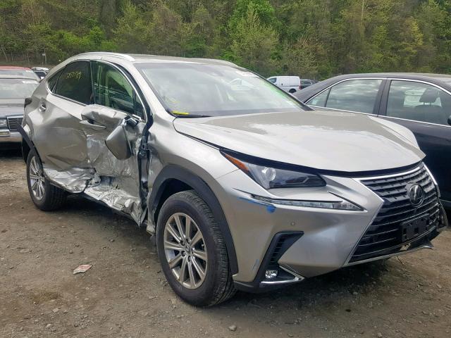 JTJBARBZ9K2204578 - 2019 LEXUS NX 300 GRAY photo 1