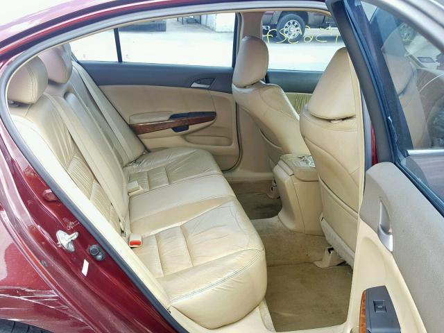 1HGCP26888A058222 - 2008 HONDA ACCORD EXL BURGUNDY photo 6