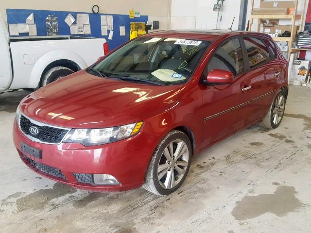 KNAFW5A39B5356206 - 2011 KIA FORTE SX RED photo 2