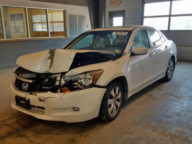 1HGCP36829A003109 - 2009 HONDA ACCORD EXL WHITE photo 2