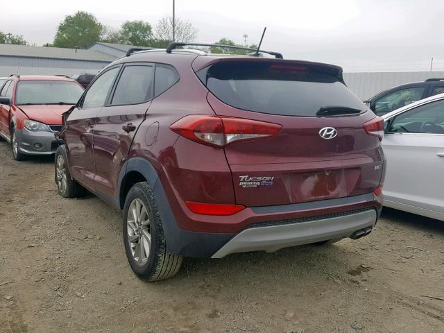 KM8J33A26HU312630 - 2017 HYUNDAI TUCSON LIM RED photo 3