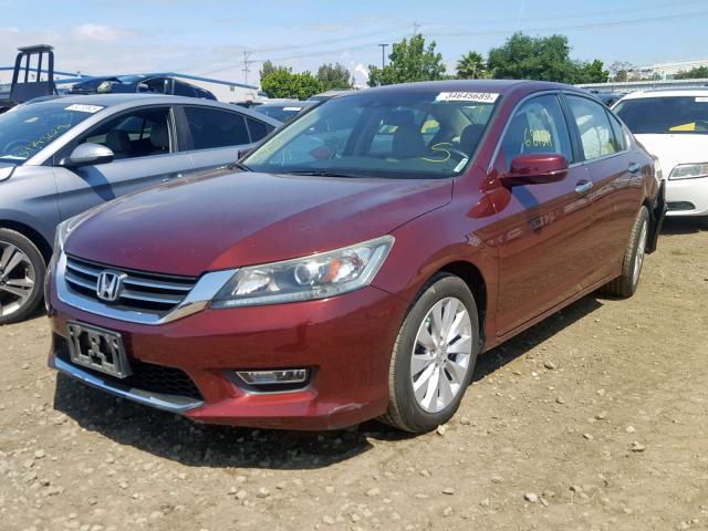 1HGCR2F82DA227879 - 2013 HONDA ACCORD EXL BURGUNDY photo 2