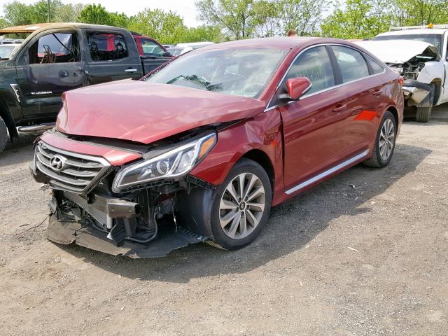 5NPE34AF0FH246937 - 2015 HYUNDAI SONATA SPO RED photo 2