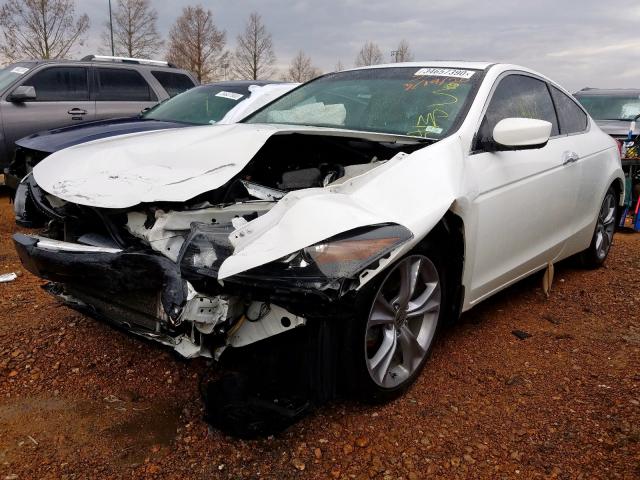 1HGCS2B80BA003694 - 2011 HONDA ACCORD EXL  photo 2