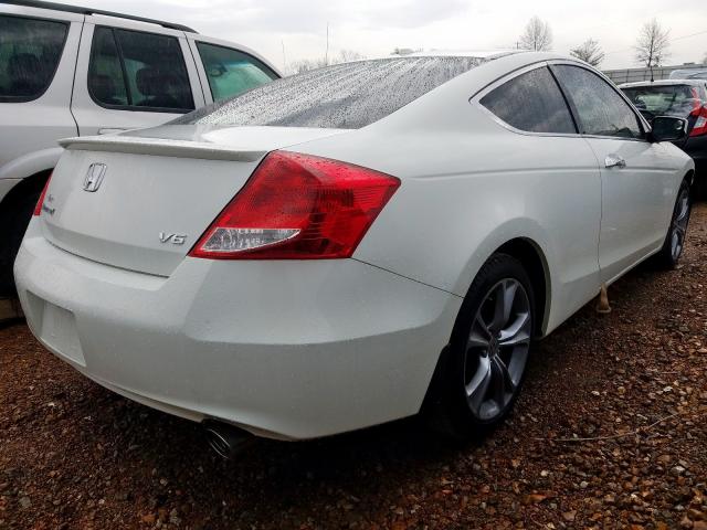 1HGCS2B80BA003694 - 2011 HONDA ACCORD EXL  photo 4