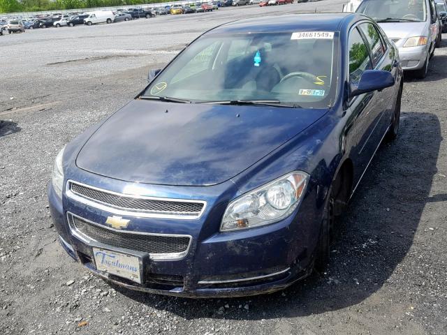 1G1ZH57B09F239779 - 2009 CHEVROLET MALIBU 1LT 蓝色 照片 2