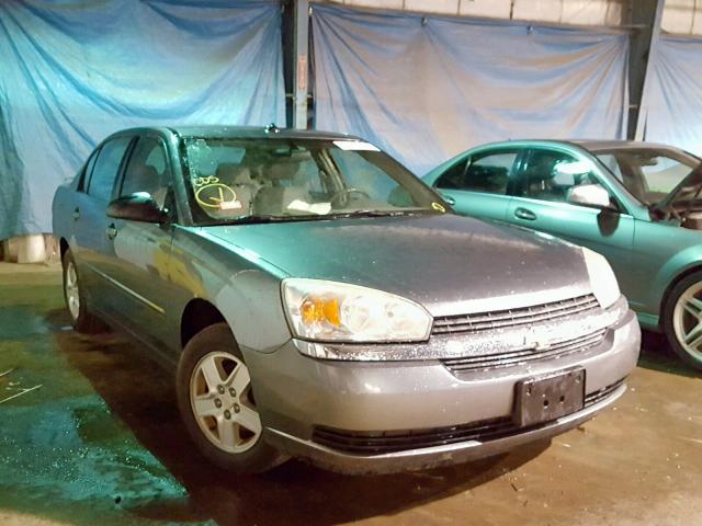 1G1ZT54855F290034 - 2005 CHEVROLET MALIBU LS GRAY photo 1