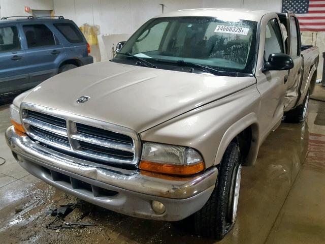 1D7HG48N54S667474 - 2004 DODGE DAKOTA QUA GOLD photo 2