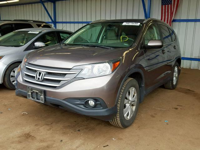 5J6RM4H76DL082464 - 2013 HONDA CR-V EXL TAN photo 2