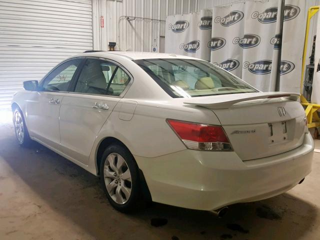 5KBCP3F85AB010907 - 2010 HONDA ACCORD EXL WHITE photo 3