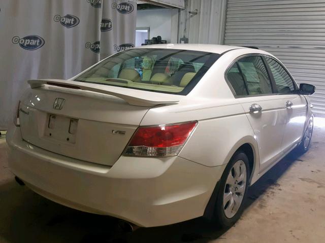 5KBCP3F85AB010907 - 2010 HONDA ACCORD EXL WHITE photo 4