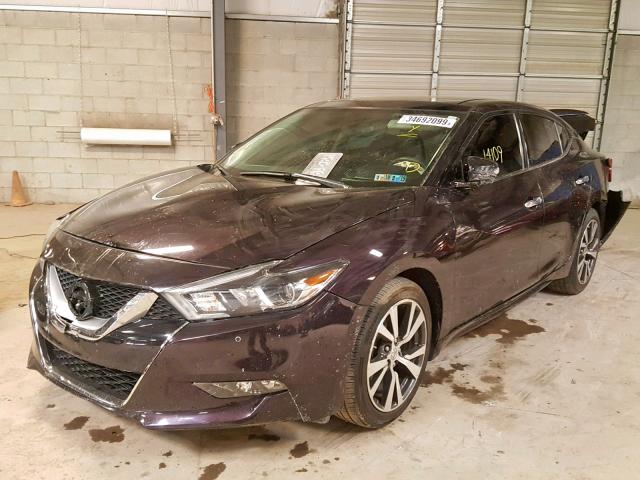 1N4AA6AP1GC402527 - 2016 NISSAN MAXIMA 3.5 PURPLE photo 2