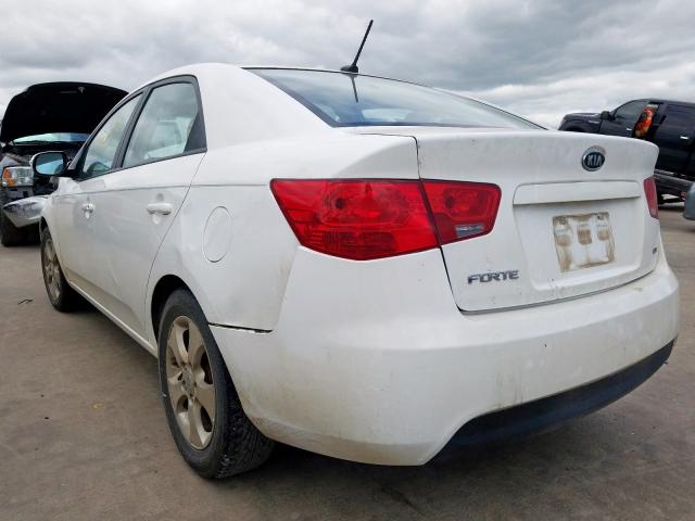 KNAFU4A28A5107935 - 2010 KIA FORTE EX  photo 3