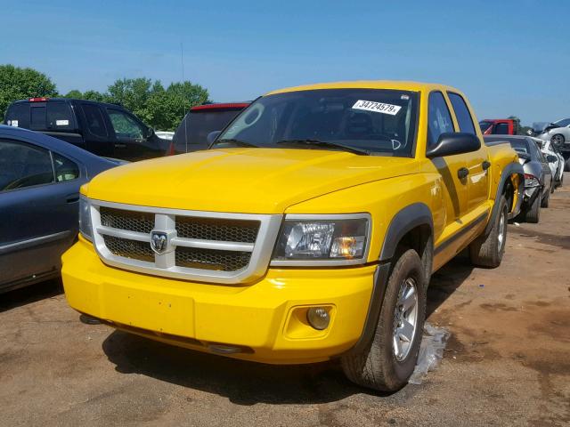 1D7HE78K68S509650 - 2008 DODGE DAKOTA TRX YELLOW photo 2