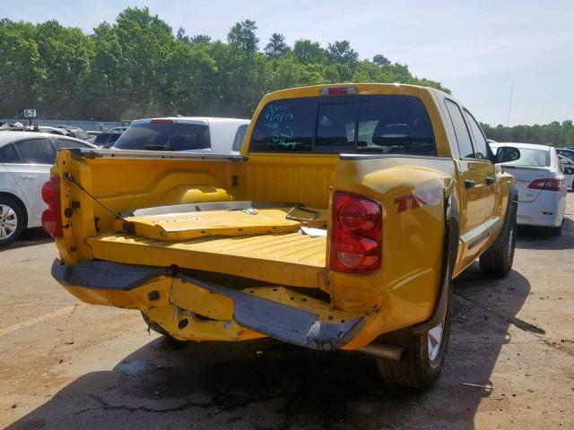 1D7HE78K68S509650 - 2008 DODGE DAKOTA TRX YELLOW photo 4