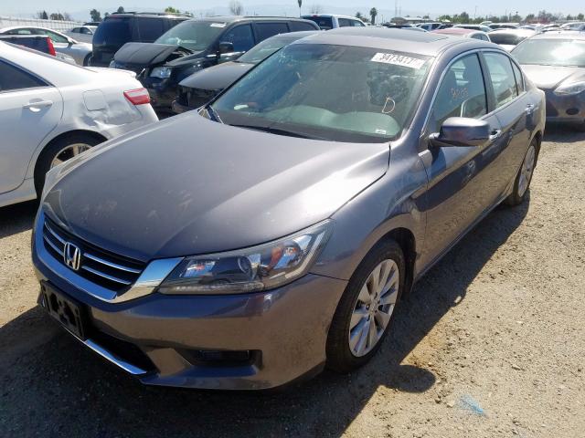 1HGCR2F84EA123556 - 2014 HONDA ACCORD EXL  photo 2