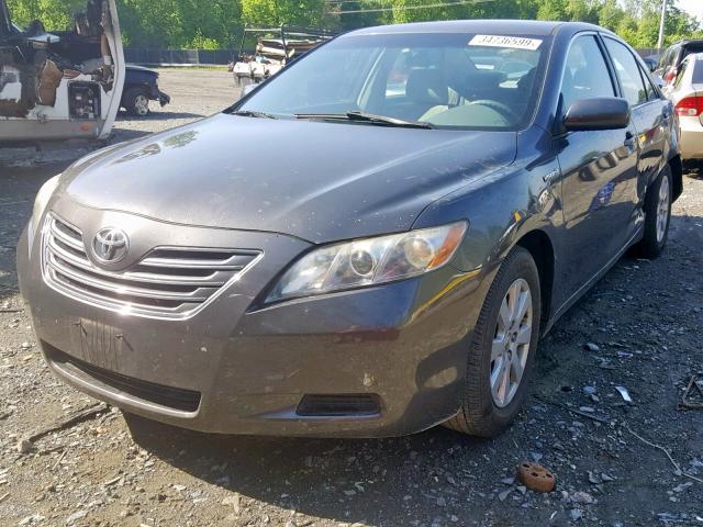 JTNBB46K283046504 - 2008 TOYOTA CAMRY HYBR GRAY photo 2