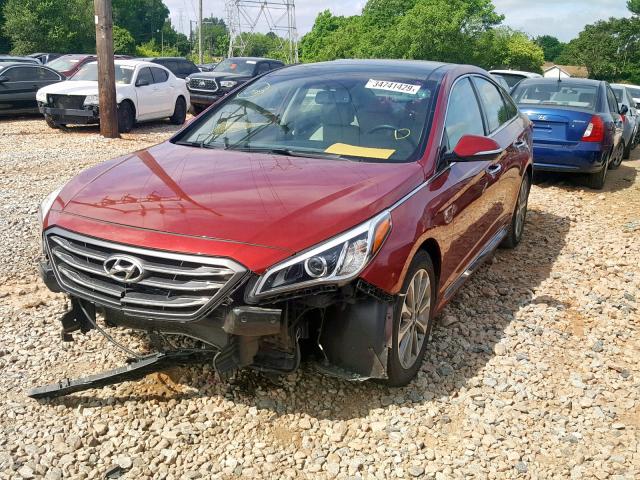 5NPE34AF5GH410765 - 2016 HYUNDAI SONATA SPO RED photo 2