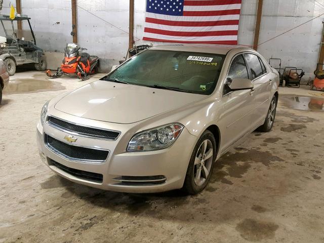 1G1ZC5E10BF261697 - 2011 CHEVROLET MALIBU 1LT 棕色 照片 2