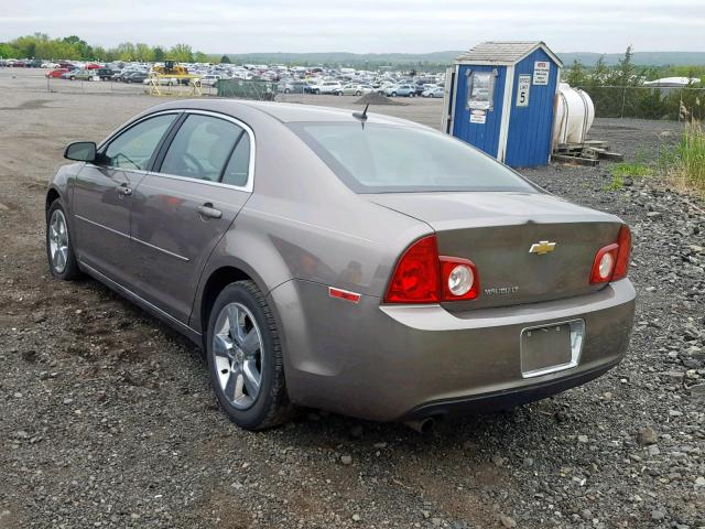 1G1ZD5EB1AF109609 - 2010 CHEVROLET MALIBU 2LT BROWN photo 3