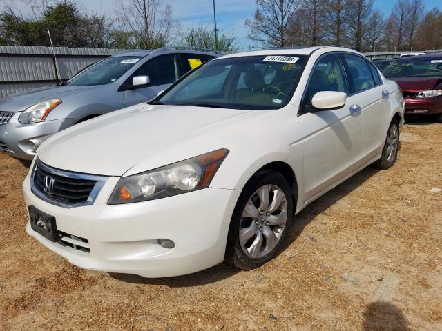 1HGCP36858A020775 - 2008 HONDA ACCORD EXL  photo 2