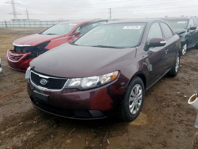 KNAFU4A27A5178835 - 2010 KIA FORTE EX  photo 2