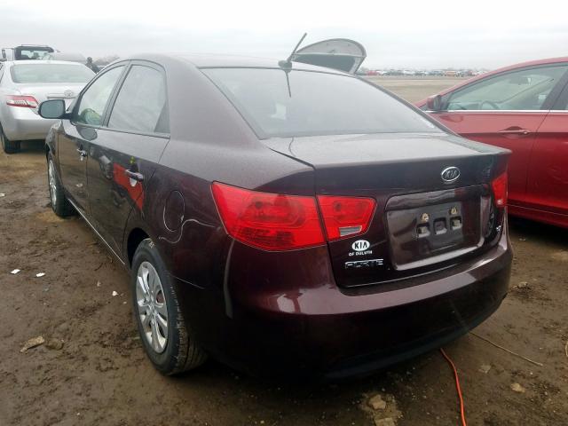 KNAFU4A27A5178835 - 2010 KIA FORTE EX  photo 3