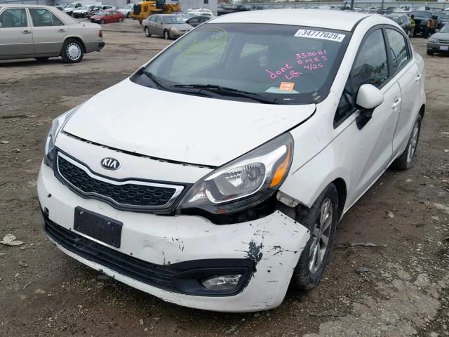 KNADN4A30E6338681 - 2014 KIA RIO EX WHITE photo 2