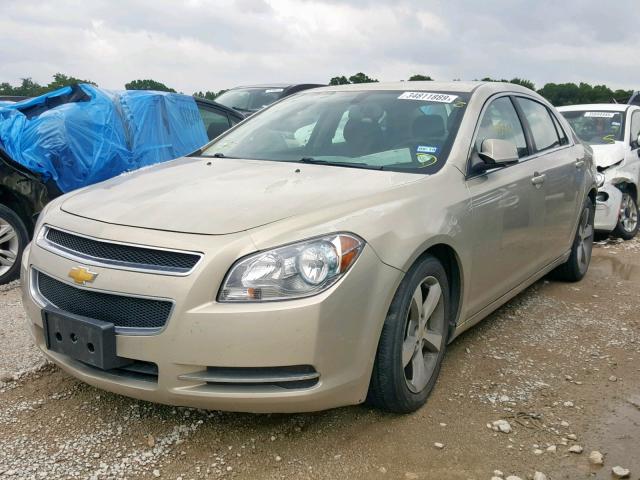 1G1ZC5E18BF313397 - 2011 CHEVROLET MALIBU 1LT 米色 照片 2