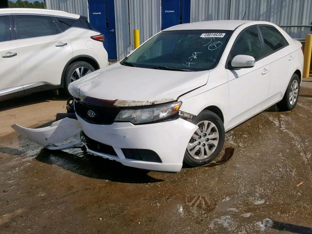 KNAFU4A27A5860355 - 2010 KIA FORTE EX WHITE photo 2