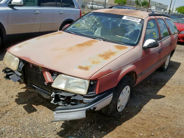 1FABP55U0JG269949 - 1988 FORD TAURUS L RED photo 2