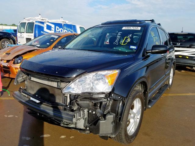 JHLRE3H74AC005569 - 2010 HONDA CR-V EXL  photo 2