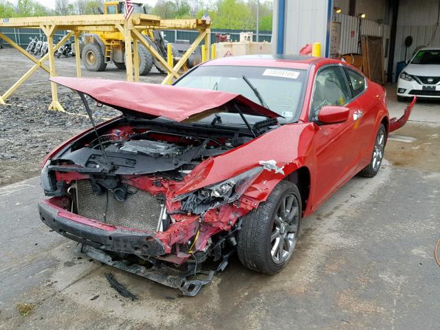 1HGCS2B88CA007252 - 2012 HONDA ACCORD EXL RED photo 2