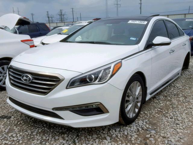 5NPE34AF5FH235478 - 2015 HYUNDAI SONATA SPO WHITE photo 2