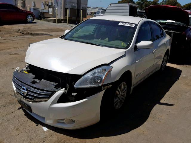 1N4CL2AP4BC107734 - 2011 NISSAN ALTIMA HYB WHITE photo 2