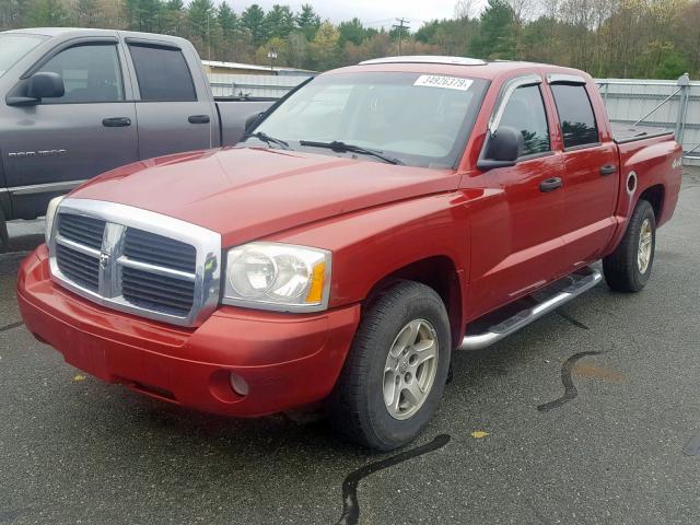 1D7HW48K16S638601 - 2006 DODGE DAKOTA QUA RED photo 2