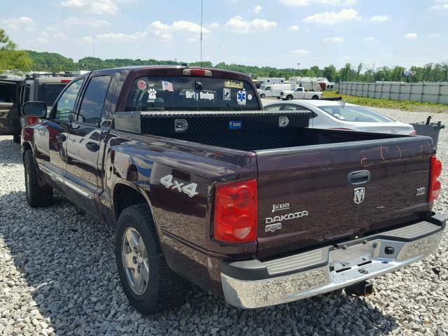 1D7HW58N55S263052 - 2005 DODGE DAKOTA QUA BROWN photo 3