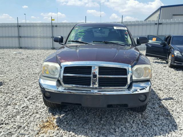 1D7HW58N55S263052 - 2005 DODGE DAKOTA QUA BROWN photo 9