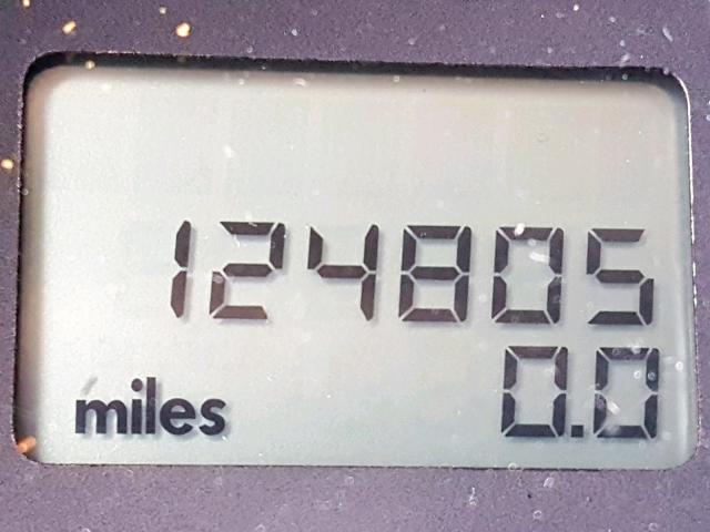 3VWDD21C43M429702 - 2003 VOLKSWAGEN NEW BEETLE ყვითელი ფოტო 8