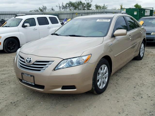 4T1BB46K49U087504 - 2009 TOYOTA CAMRY HYBR TAN photo 2