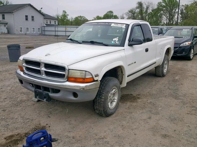 1B7GG22YXWS557505 - 1998 DODGE DAKOTA WHITE photo 2