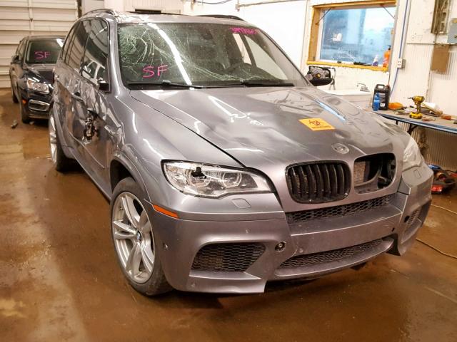 5YMGY0C54D0C11944 - 2013 BMW X5 M SILVER photo 1